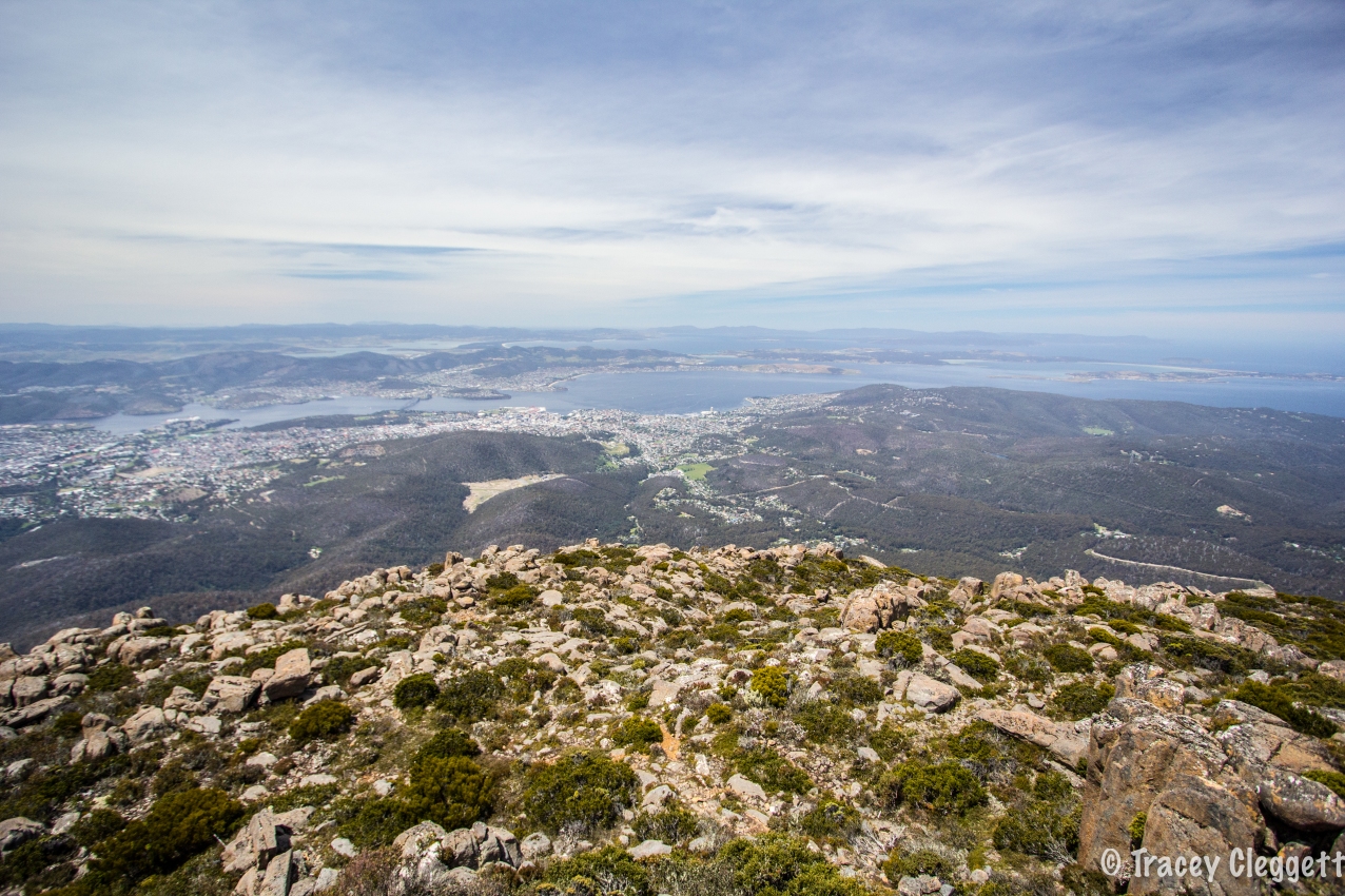 The View from Mt Wellington